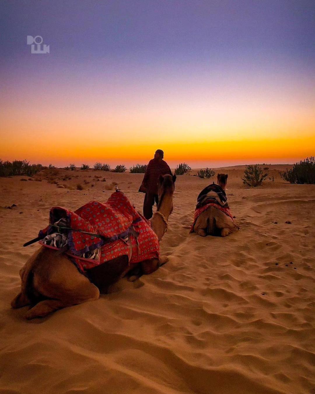 Mirvana Guest House Jaisalmer Buitenkant foto